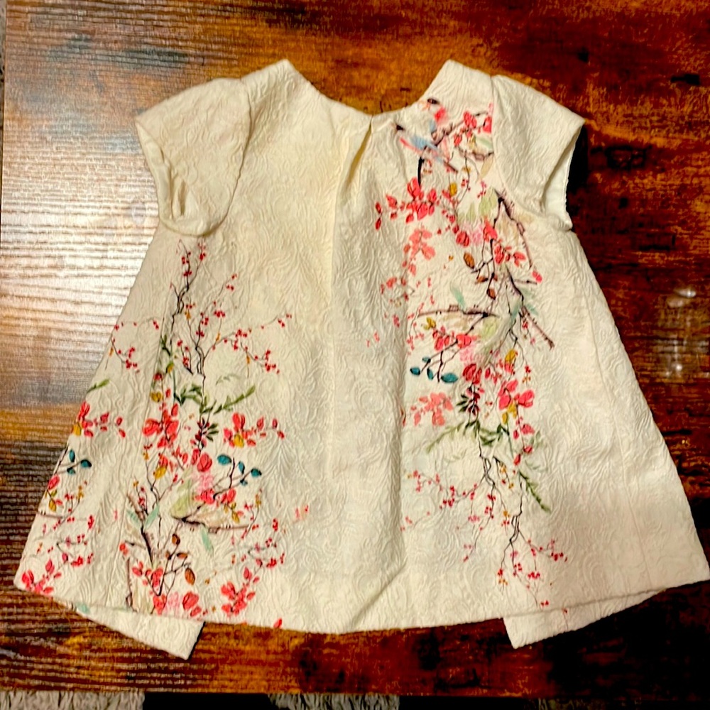 Beautiful Zara dress never worn